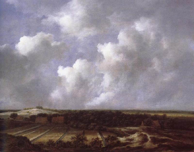 Jacob van Ruisdael View of the Dunes near Bl oemendaal with Bleaching Fields Germany oil painting art